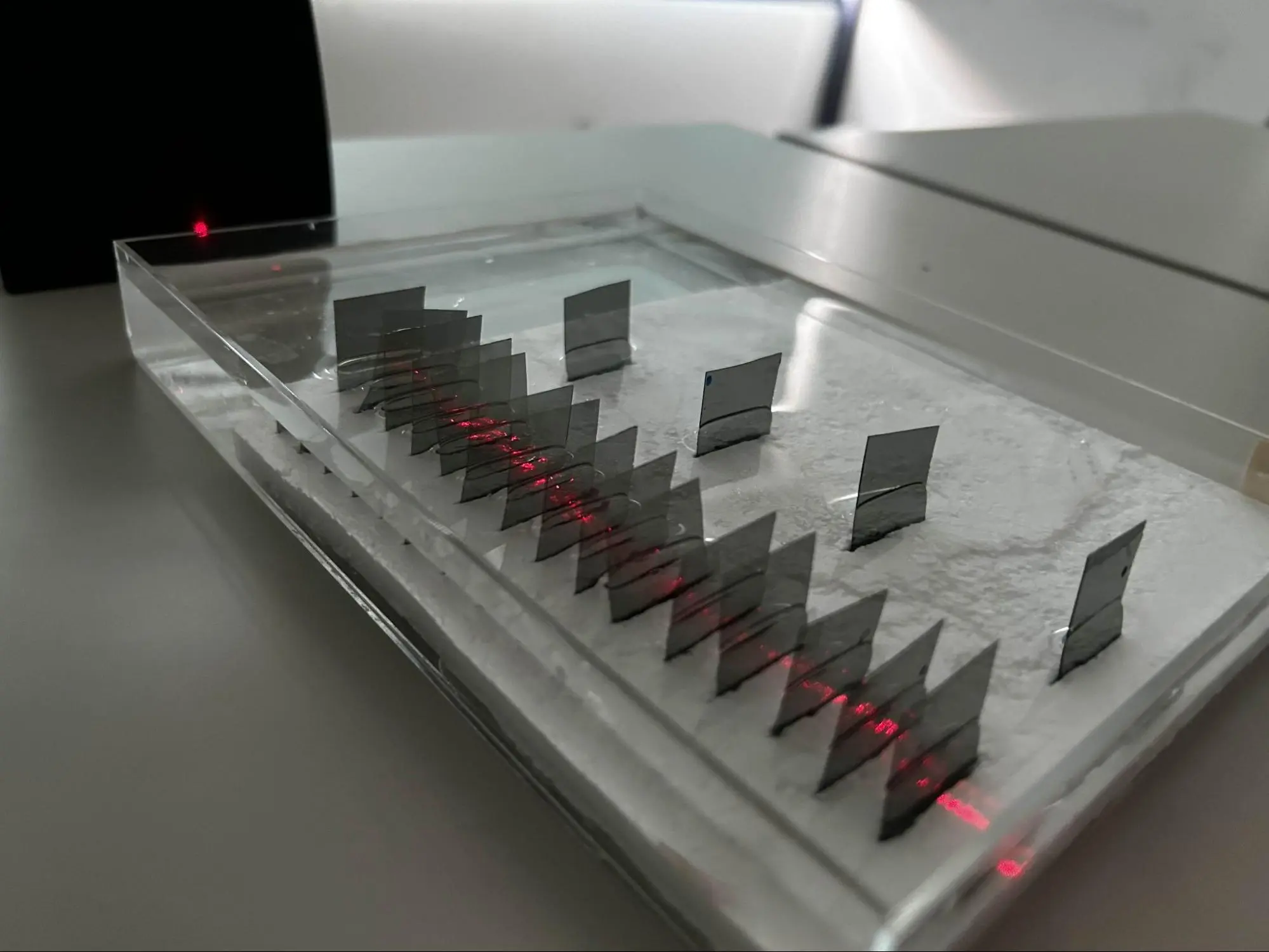 量子ゼノ効果